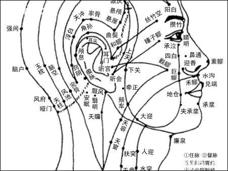 上廉泉-体表示意图