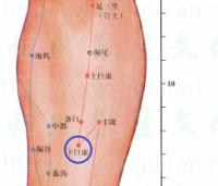 下巨虚-体表示意图