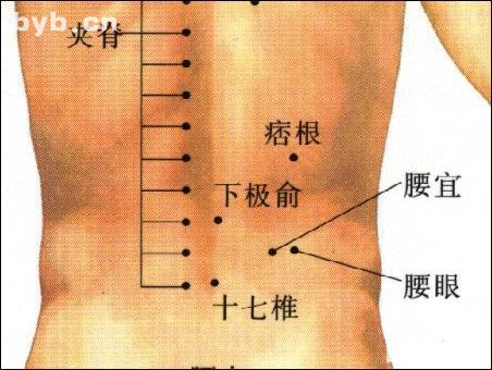 下极俞-体表示意图