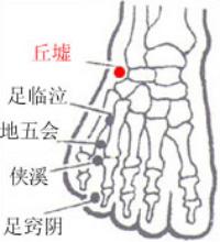 丘墟-体表示意图