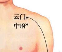 中府-解剖图 中府-体表示意图