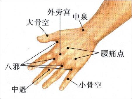 中魁-体表示意图