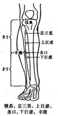 丰隆-体表示意图