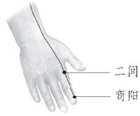 二间-解剖图 二间-体表示意图