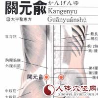 关元俞-断层解剖图 关元俞-解剖图