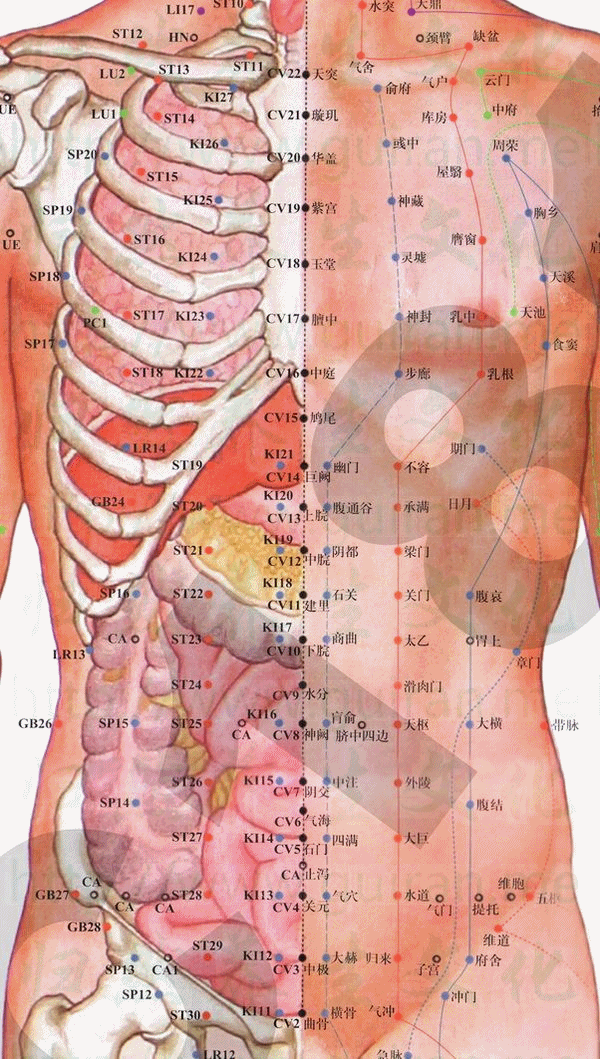 关门-体表图 关门-体表图