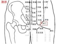冲门-解剖图 冲门-体表示意图