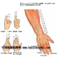 前谷-体表示意图