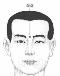 印堂-解剖图 印堂-体表示意图