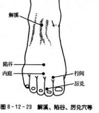 厉兑-体表示意图