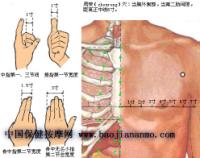 周荣-体表示意图