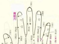 商阳-解剖图 商阳-体表示意图