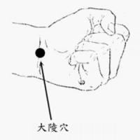 大陵-解剖图 大陵-体表示意图