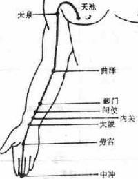 天泉-体表示意图