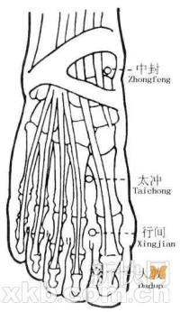 太冲-体表示意图