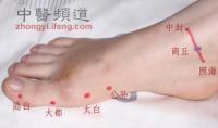 太白-解剖图 太白-体表示意图