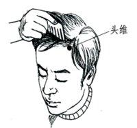 头维-解剖图 头维-体表示意图