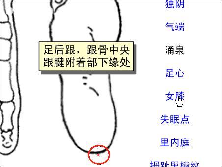 女膝-体表示意图