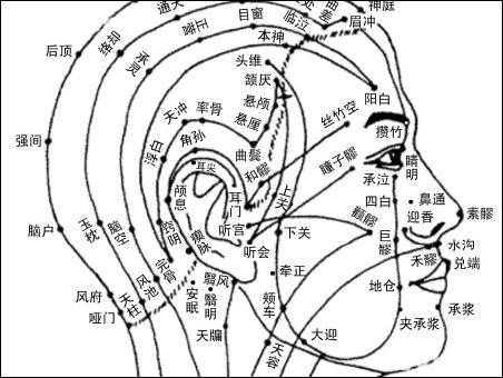 安眠-体表示意图