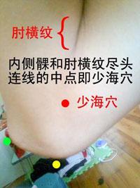 少海-解剖图 少海-体表示意图