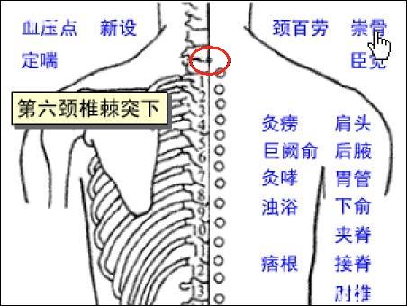 崇骨-体表示意图