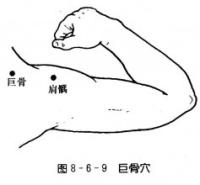 巨骨-解剖图 巨骨-体表示意图