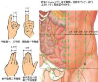 府舍-体表示意图