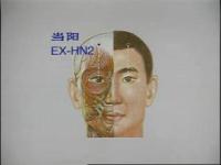 当阳-解剖图