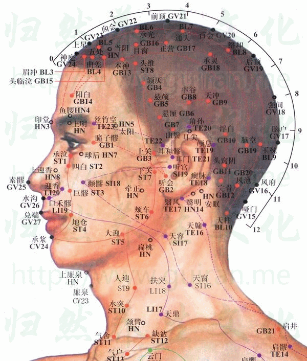 悬厘-体表图 悬厘-体表图