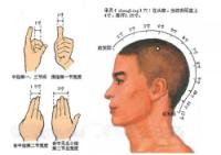 承灵-体表示意图