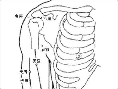 抬肩-体表示意图