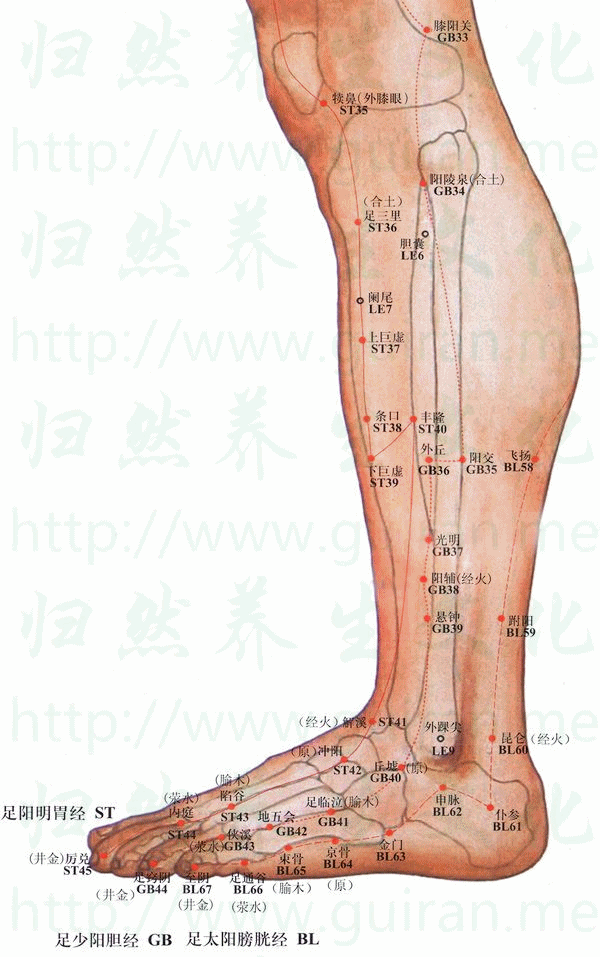 昆仑-体表图 昆仑-体表图