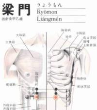 梁门-解剖图