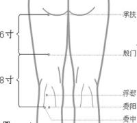 殷门-体表示意图