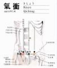 气冲-解剖图