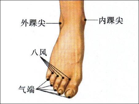 气端-体表示意图