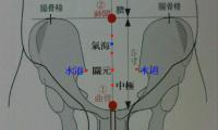 水道-解剖图 水道-体表示意图