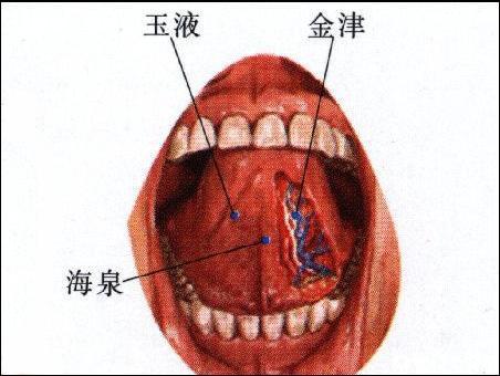 海泉-体表示意图