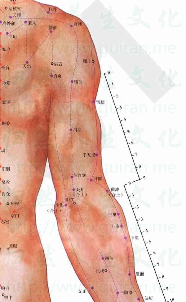 消泺-体表图 消泺-体表图