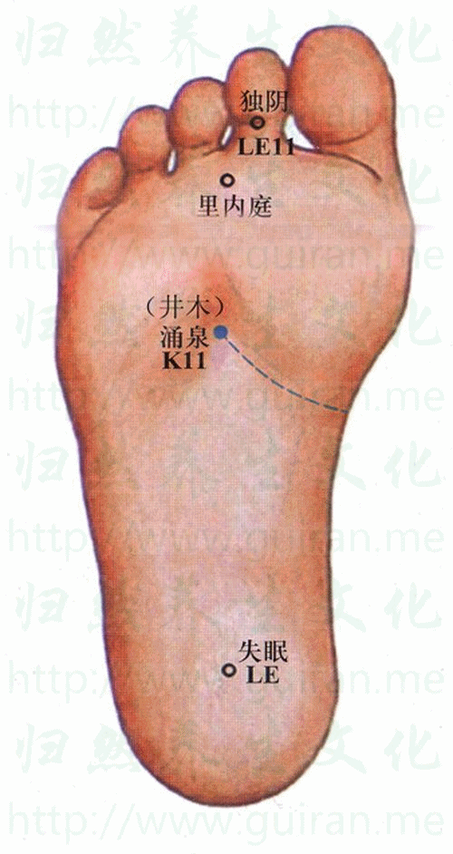 涌泉-体表图 涌泉-体表图