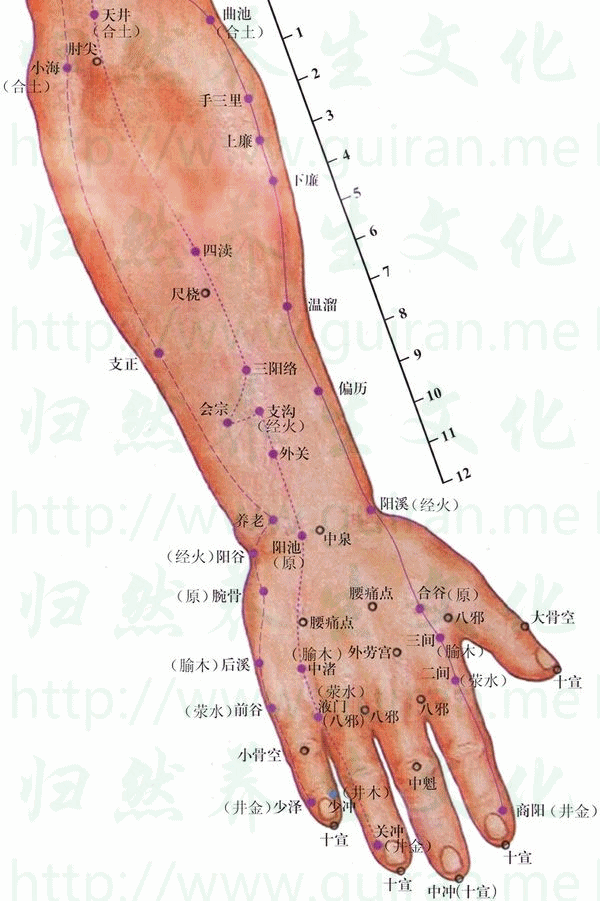 液门-体表图 液门-体表图
