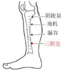 漏谷-体表示意图