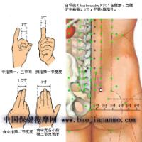 白环俞-体表示意图