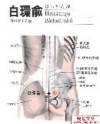 白环俞-解剖图