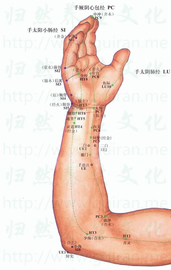 神门-体表图 神门-体表图