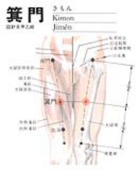 箕门-解剖图