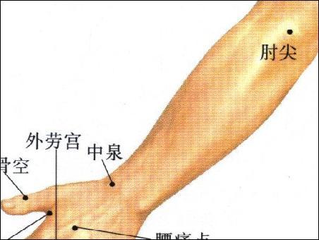 肘尖-体表示意图