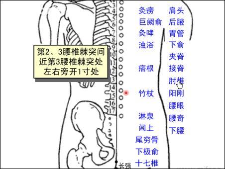 肘椎-体表示意图