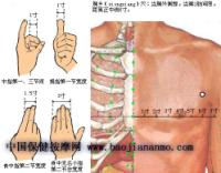 胸乡-体表示意图