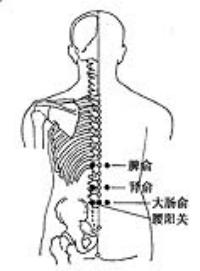 脾俞-体表示意图